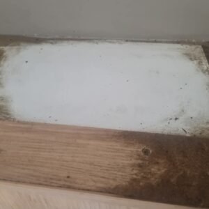 WhatsApp Image 2026-01-12 at 08.39.29