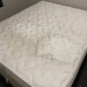 WhatsApp Image 2026-01-12 at 08.39.30 (2)