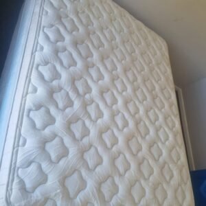 WhatsApp Image 2026-01-12 at 08.39.30 (3)