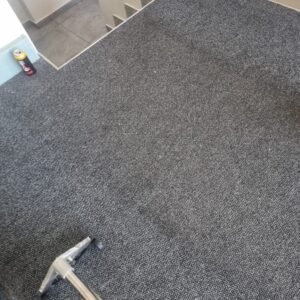 WhatsApp Image 2026-01-22 at 10.47.03 (1)