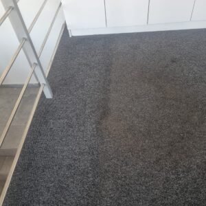 WhatsApp Image 2026-01-22 at 10.47.10