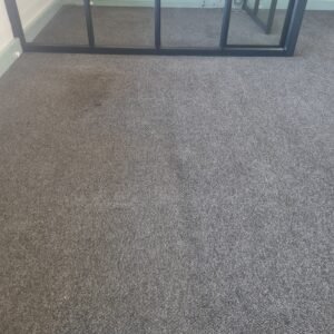 WhatsApp Image 2026-01-22 at 10.47.14